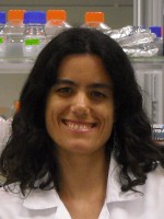 foto Paula Sofia Sarrico Lacerda